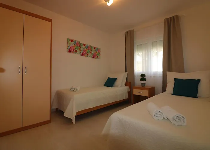 Melisa 6
